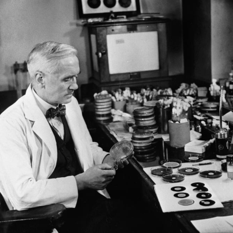 Fleming