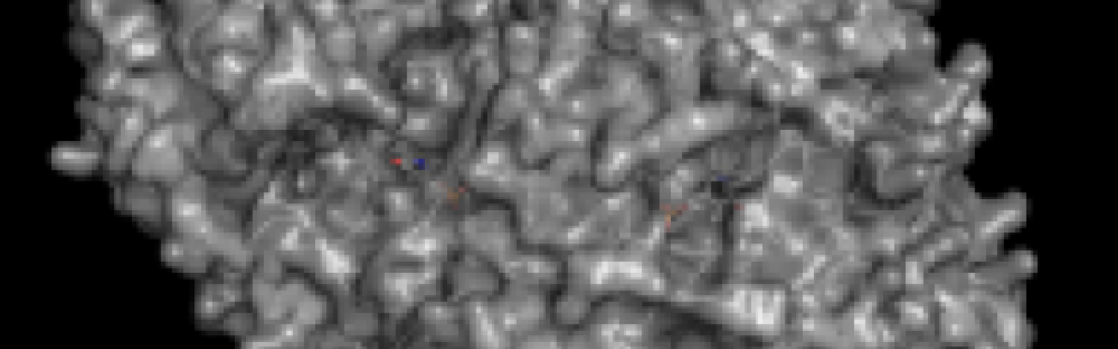 Functional Proteomics Undergraduate Research Initiative