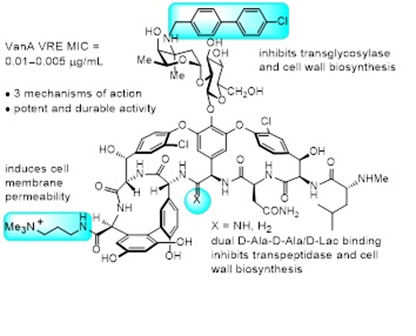 Redesign of Vancomycin for Resistant Bacteria