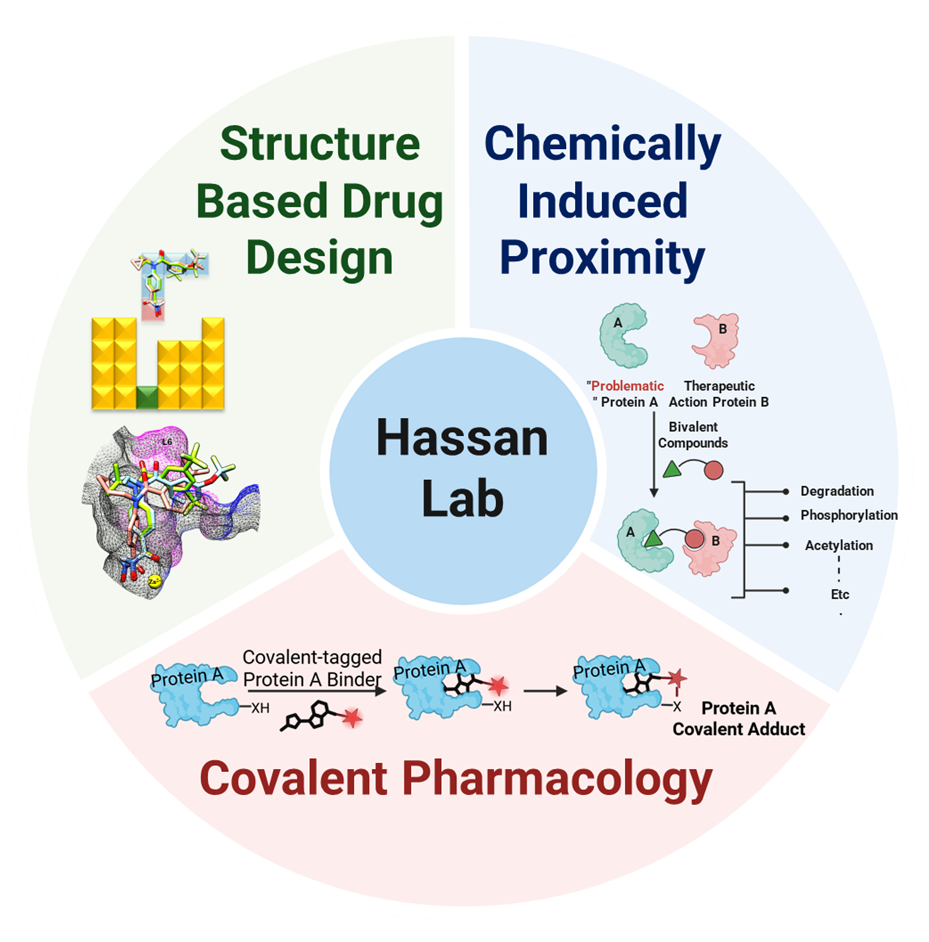 Diagram describing what topics are to be expected in the Hassan Lab: Structure based drug design, Chemically induced proximity, and Covalent Pharmacology