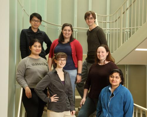 UVA Chemistry Group Lab